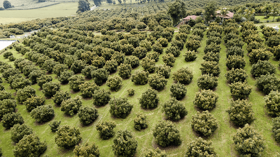 8d5a714e62bdc20b623429a8d245a905