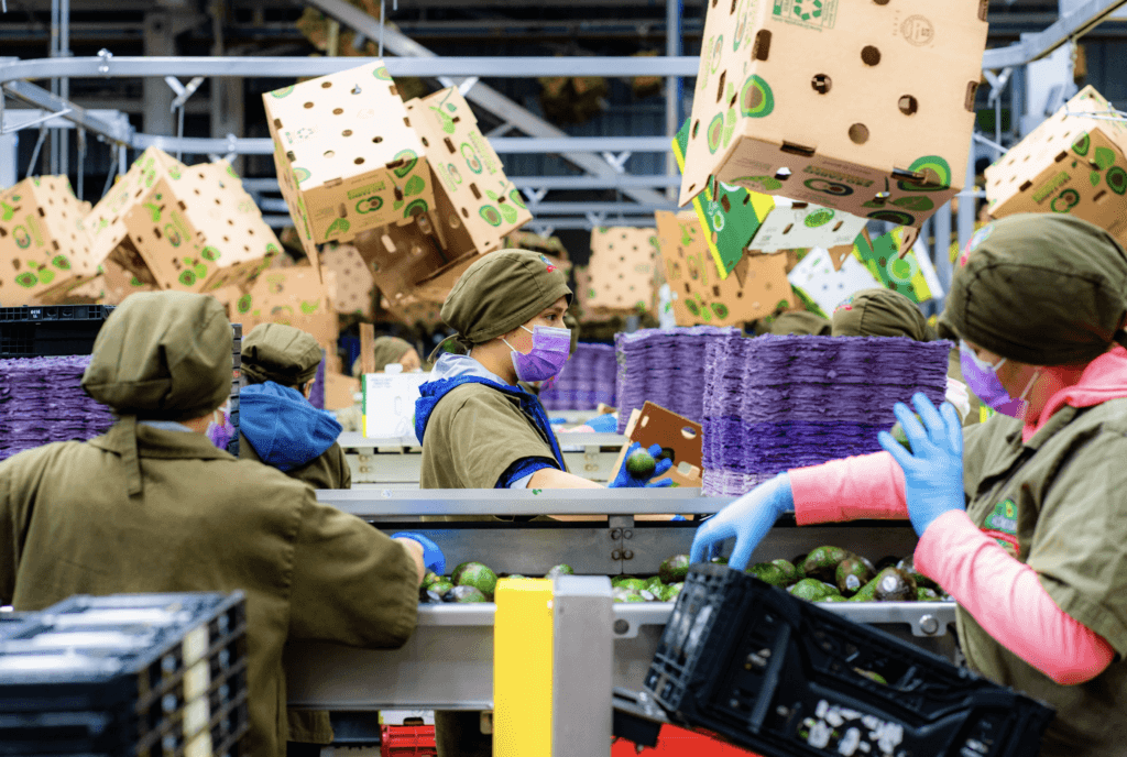 a0c86ccb86031c43f9c8b26c565070b6