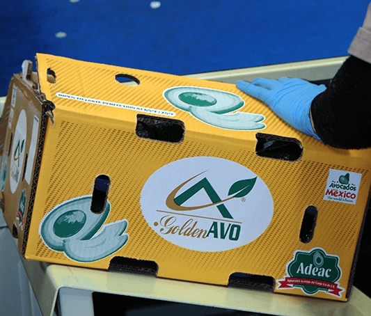 a597a65affdb6a23c35ac548c5d964c6